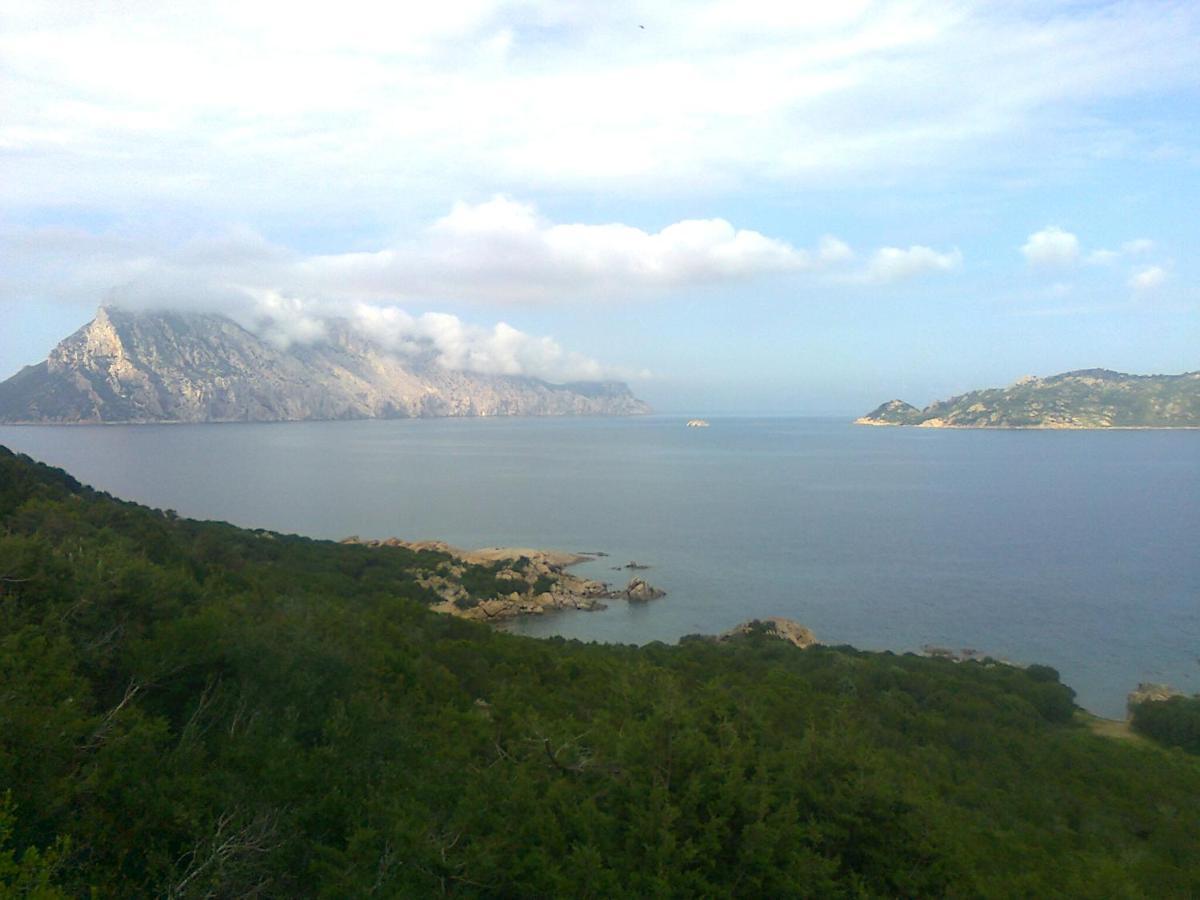 Frina Di Mari B&B San Teodoro  Luaran gambar