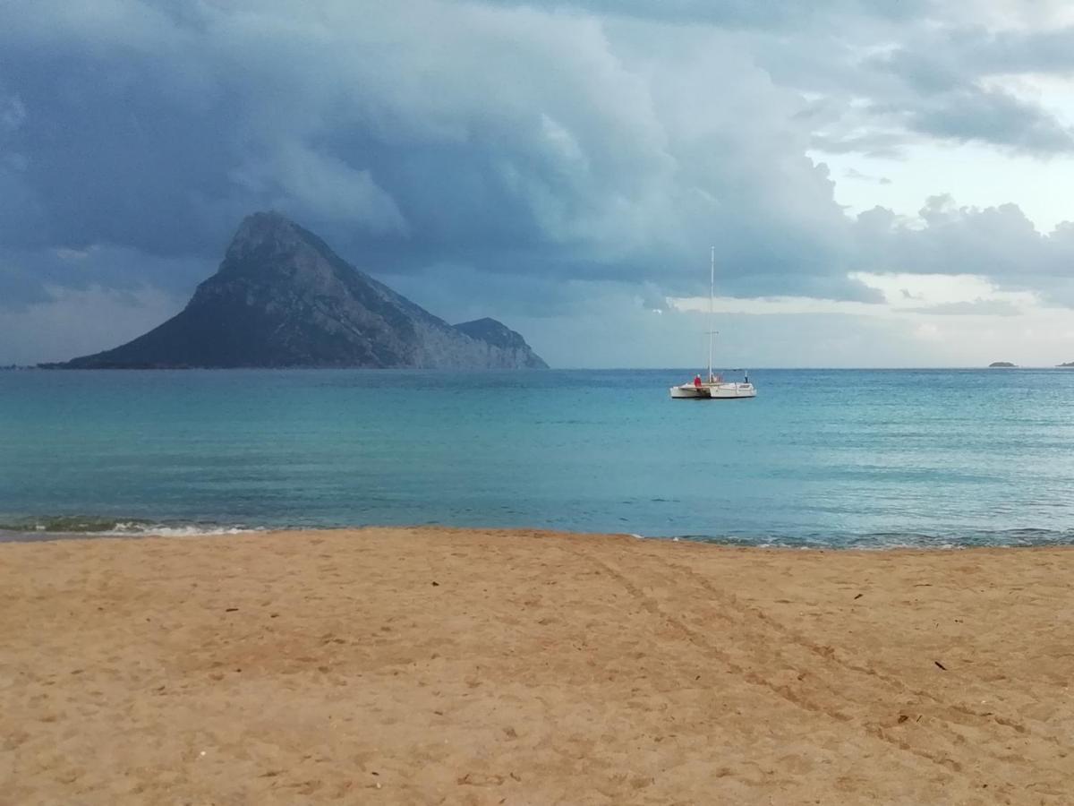 Frina Di Mari B&B San Teodoro  Luaran gambar