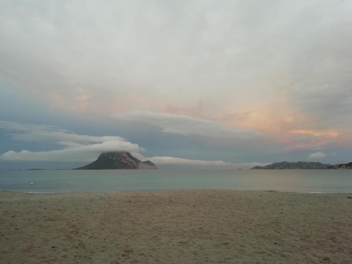 Frina Di Mari B&B San Teodoro  Luaran gambar