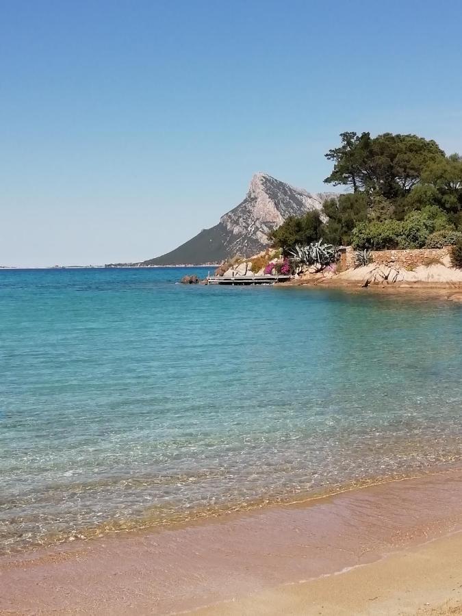 Frina Di Mari B&B San Teodoro  Luaran gambar