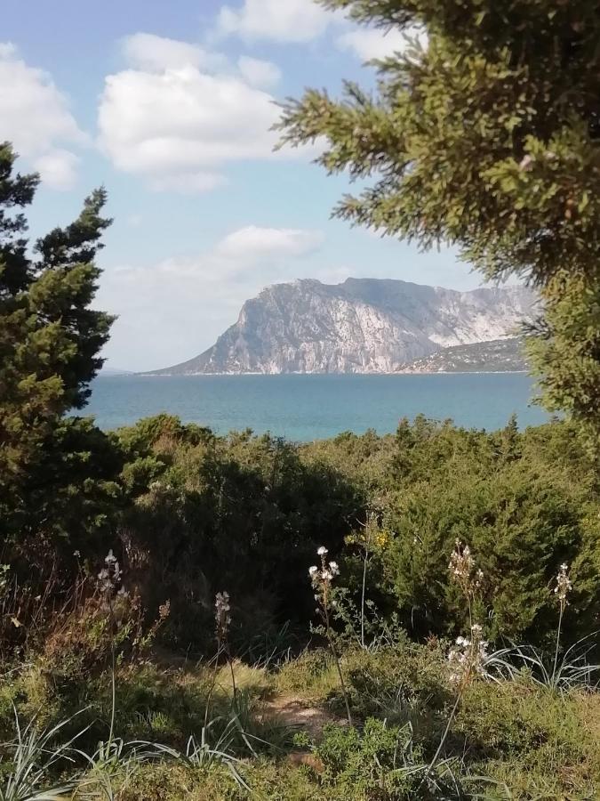 Frina Di Mari B&B San Teodoro  Luaran gambar
